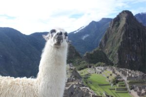 #Travelsomeday：秘鲁的样品旅游行程