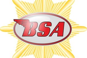 BSA的标志