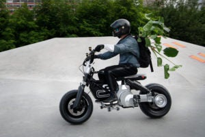 Good, you can carry plants on the CE 02. Important.  - BMW Photo