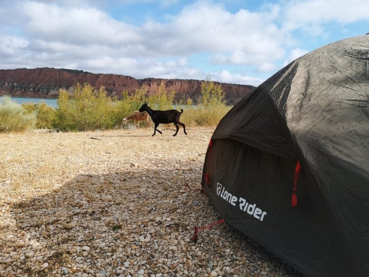 Lone Rider: The Turtle-Shaped Tent // ADV Rider