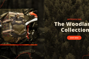 莫斯科Moto增加新的森林-新鲜的林地收集