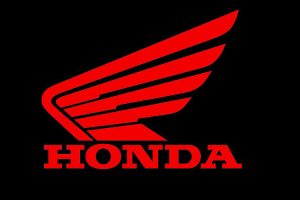 Honda Announces Details of Hornet (and Transalp?) Engine